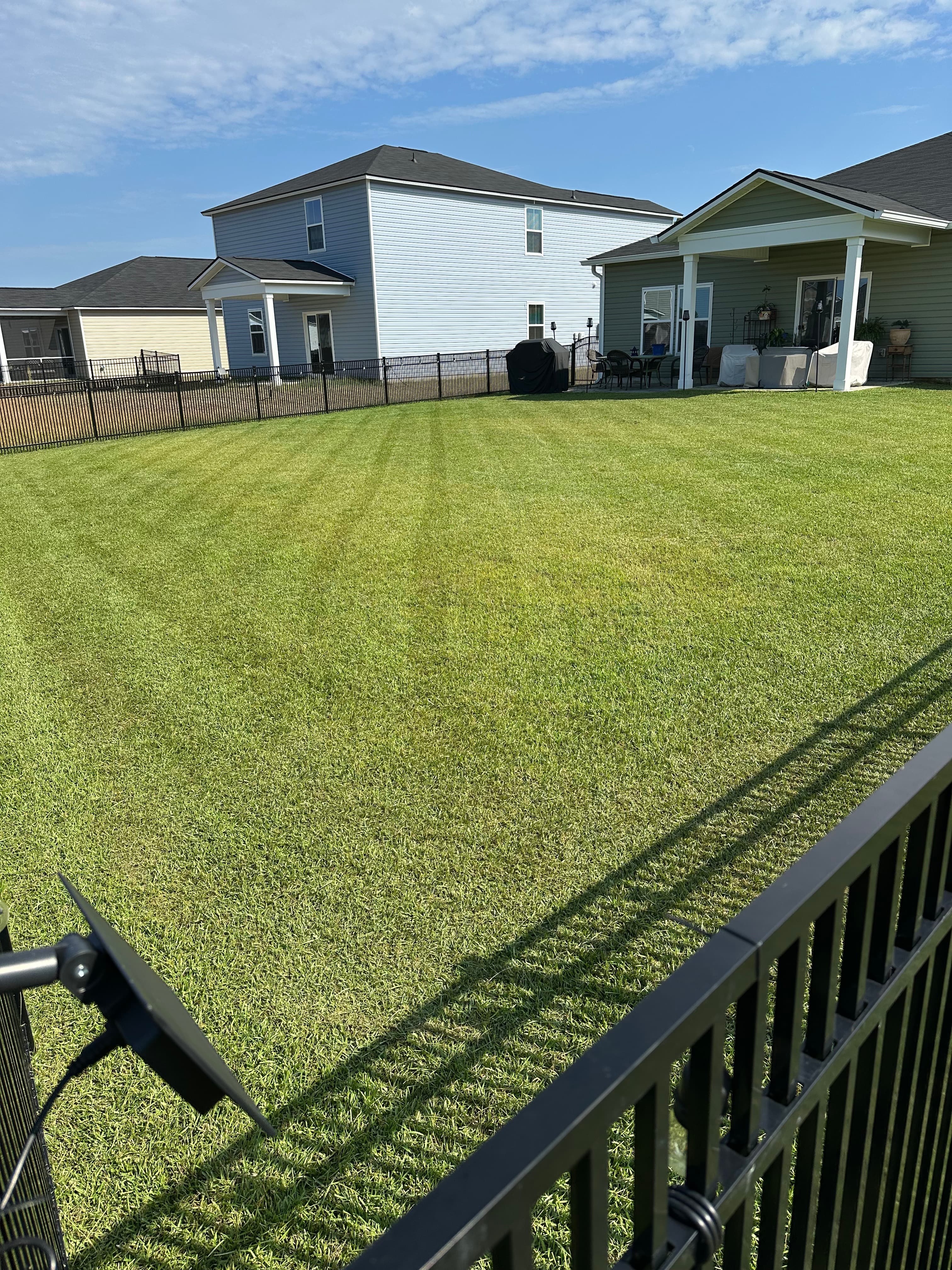 Uniform green residential lawn with clean mowing lines