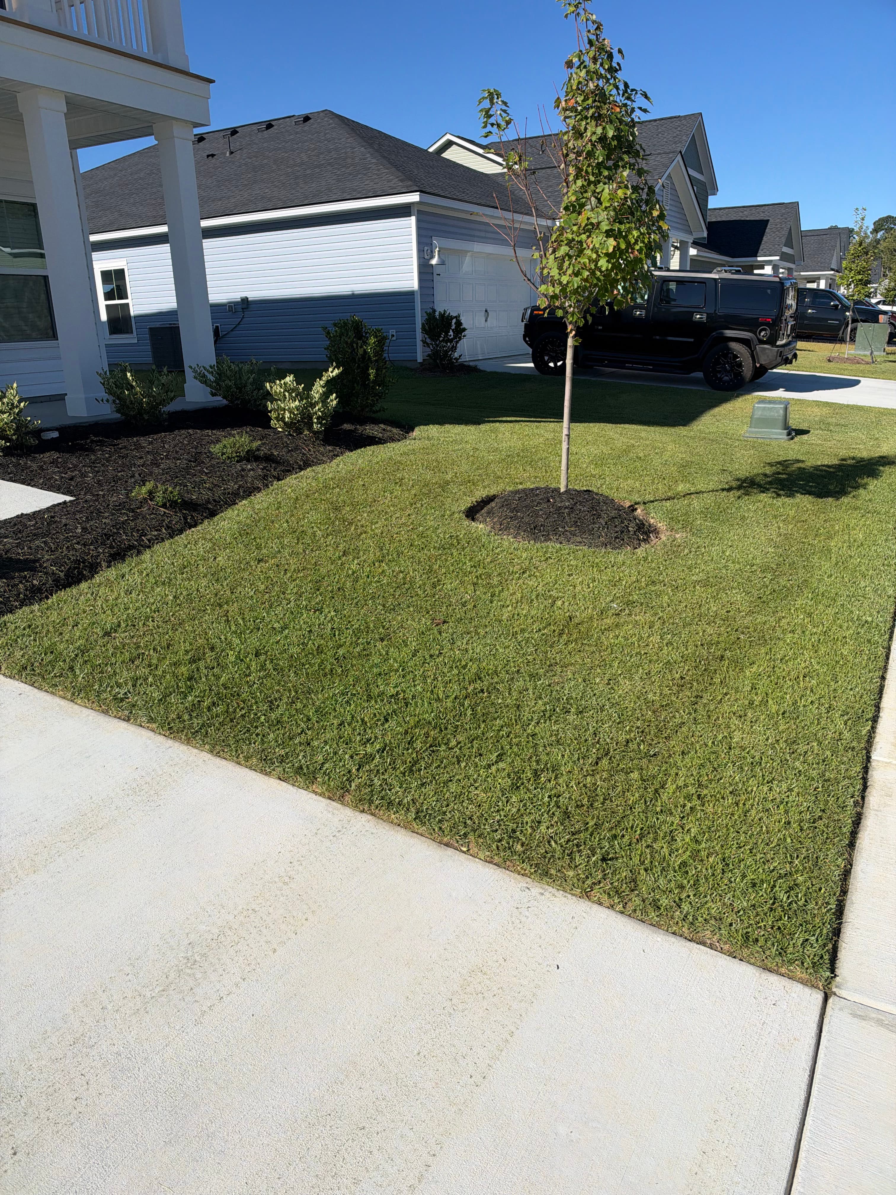 Front yard with fresh mulch beds and a fertilized green lawn