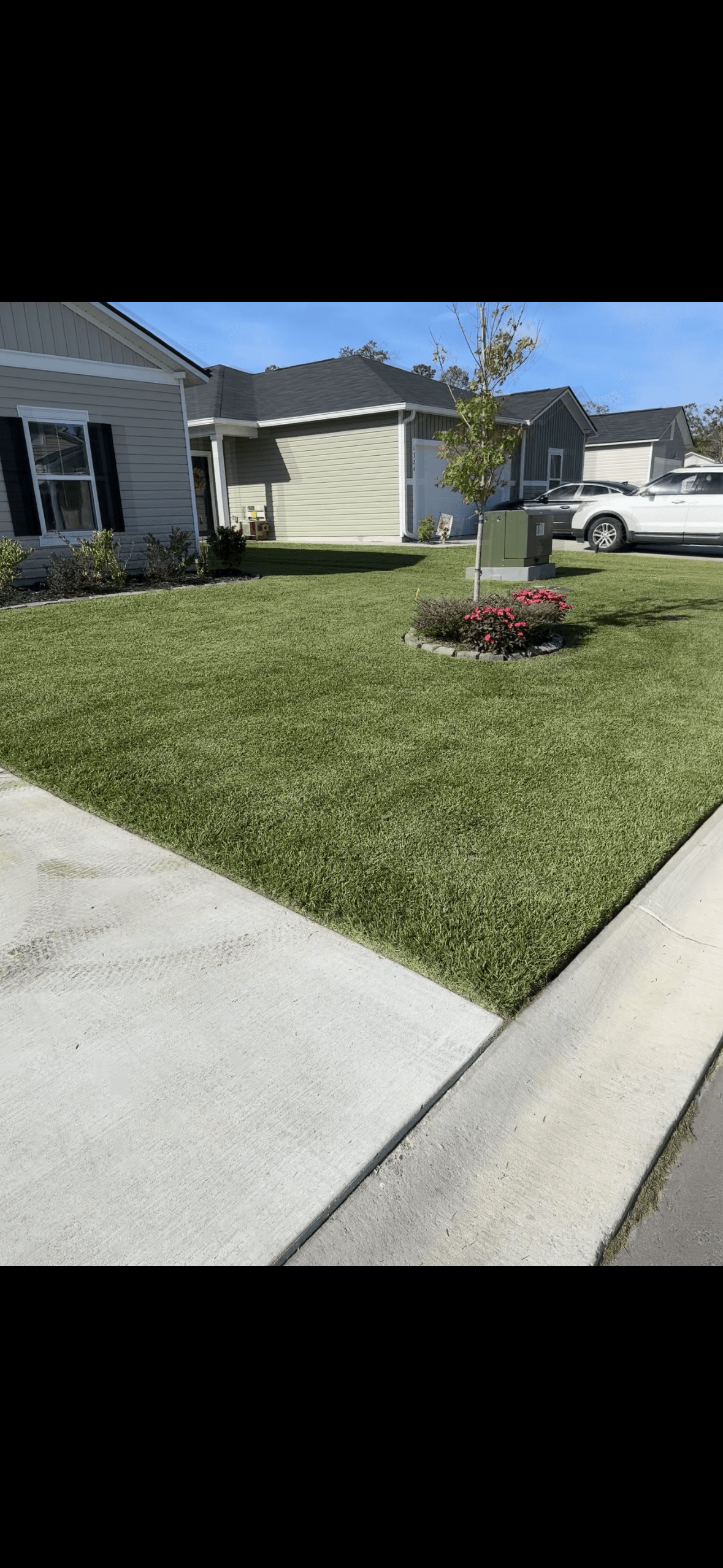 Front lawn with clean edging and planting bed